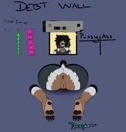 The Debt Wall