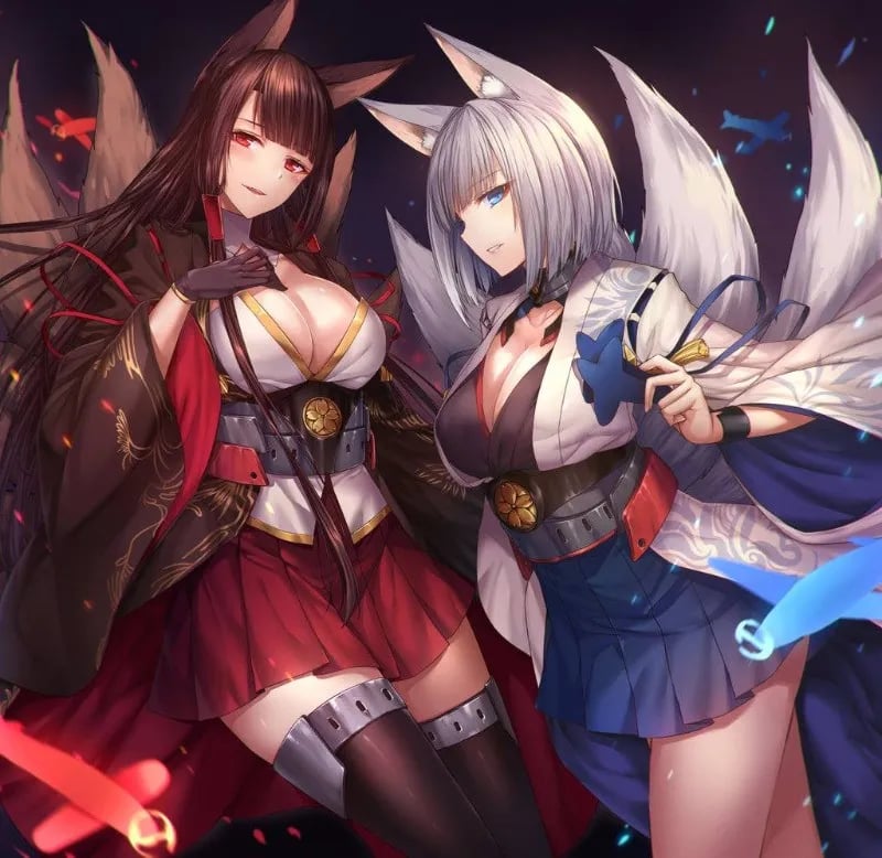 Akagi & Kaga