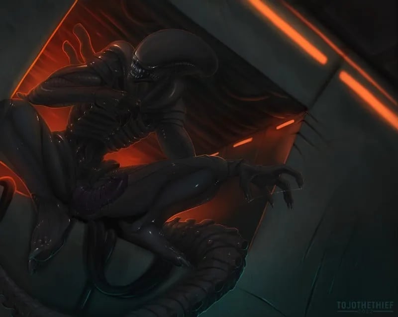 Xenomorph