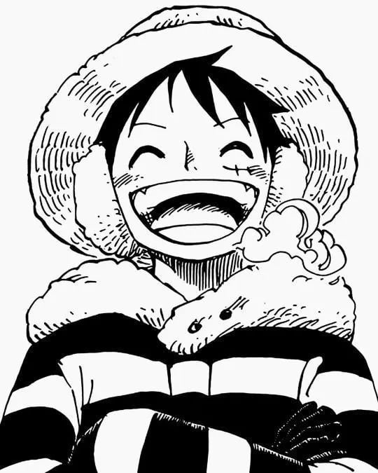 Monkey d luffy