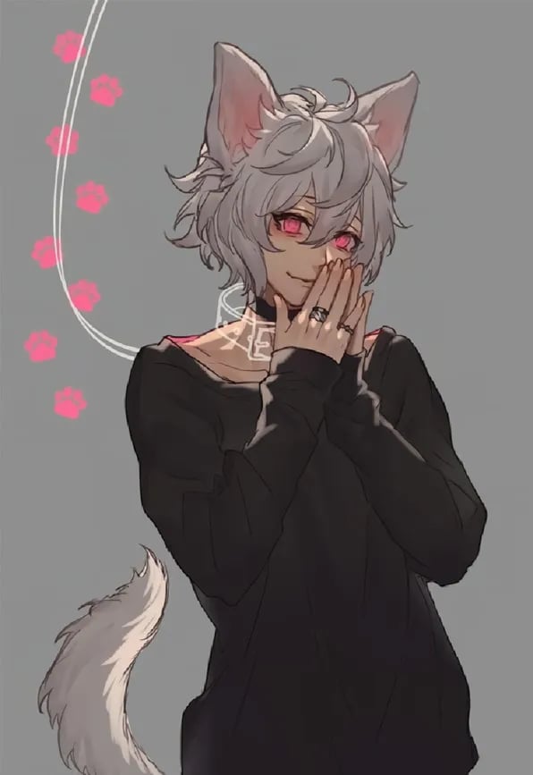 Reiki the Catboy