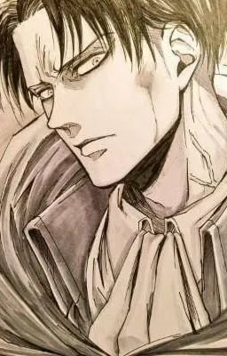 Levi Ackerman 