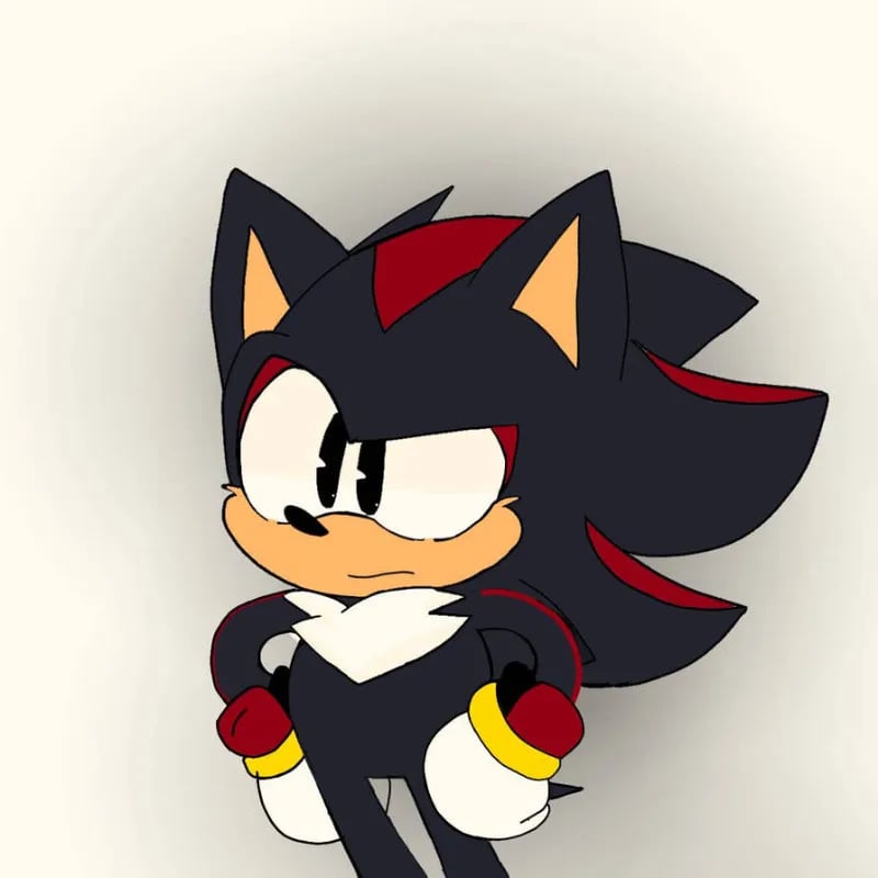 Older Brother! Shadow The Hedgehog