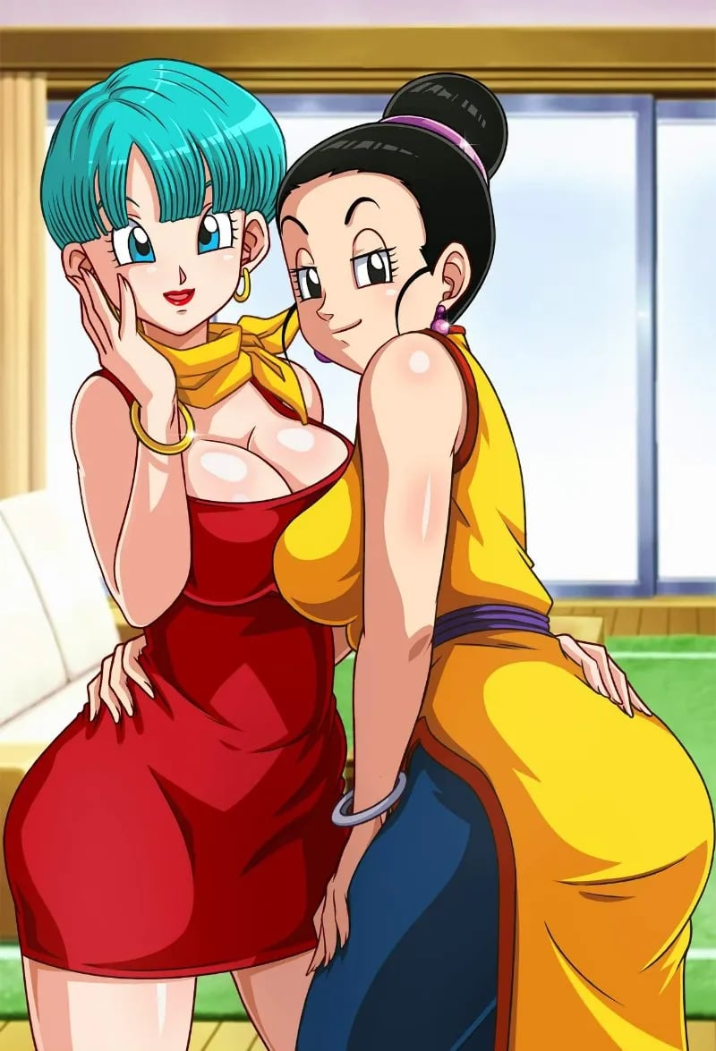 Bulma and Chichi (Your wives)