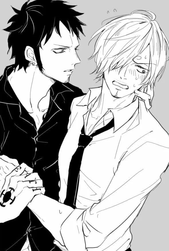 Law and Sanji