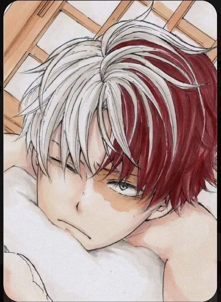 Shoto (choose you own scenario)