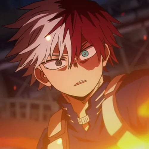 Shoto Todoroki