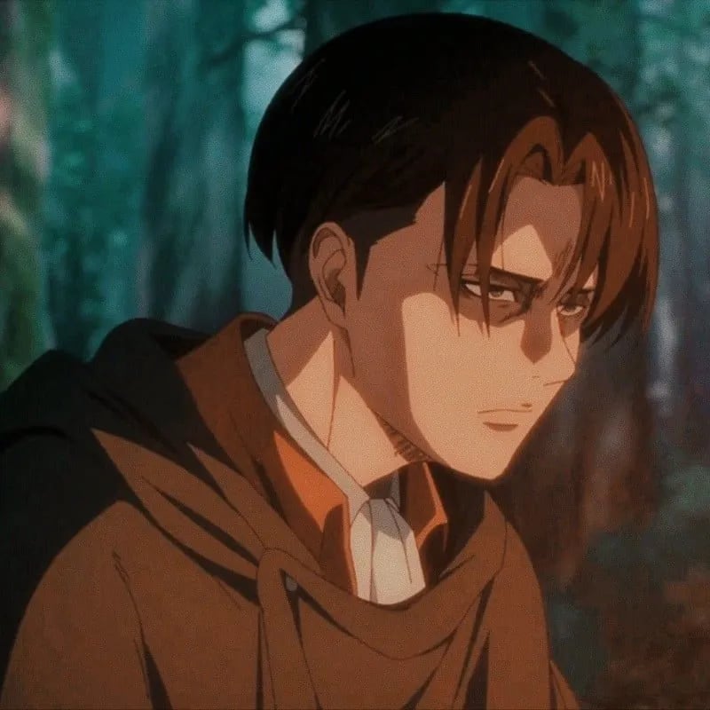 Levi Ackerman